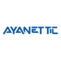 Ayanet TIC